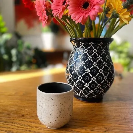 Nastrojowe Mieszkanie W Centrum *