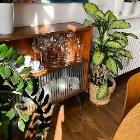 Apartment Nastrojowe Mieszkanie W Centrum