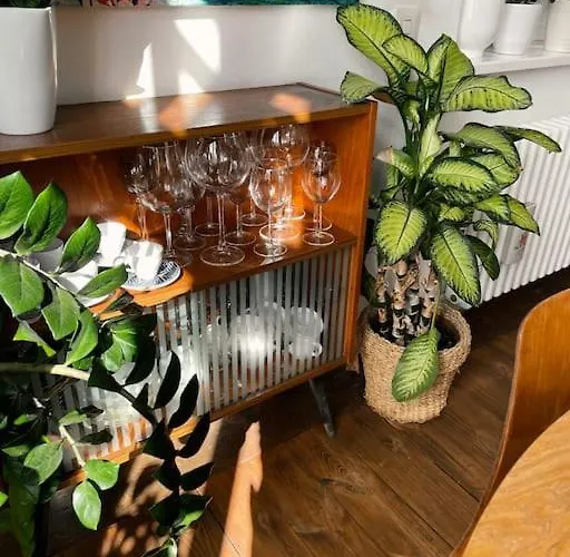 Apartmán Nastrojowe Mieszkanie W Centrum